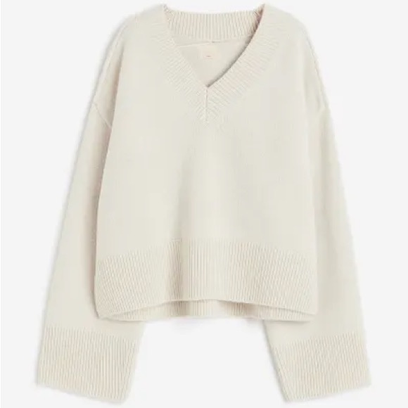ISO! H&M Wool Oversized V Neck Sweater
